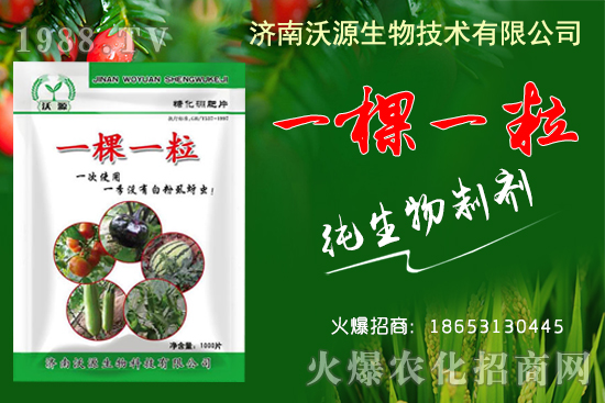     蚜蟲、白粉虱、薊馬怎么防？沃源生物“一棵一?！睔⒊x卵，藥效！