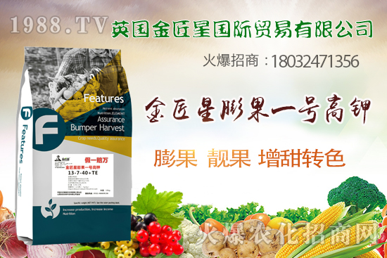 英國金匠星怎么樣？英國金匠星主營哪些產(chǎn)品？