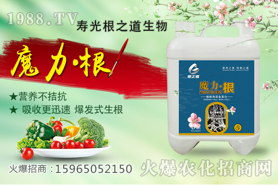 要想作物好，根系更重要！壽光根之道怎么樣？有哪些爆款產(chǎn)品？