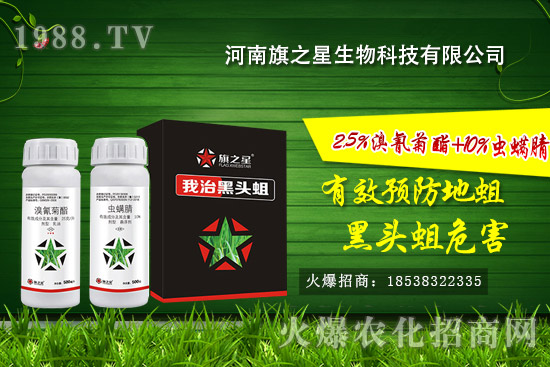 河南旗之星怎么樣？河南旗之星殺蛆產(chǎn)品有哪些？