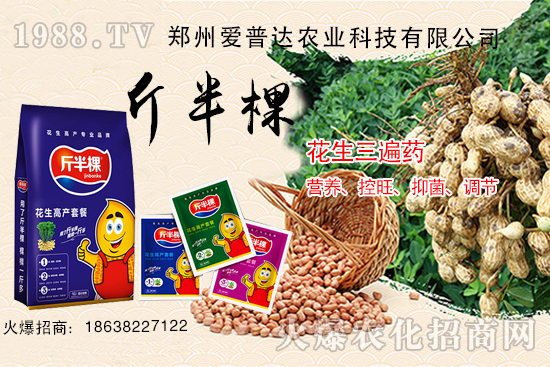 花生三遍藥什么時期使用？花生三遍藥有哪些作用？