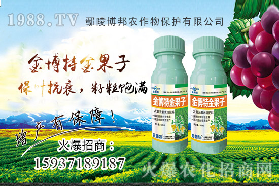 花生早衰減產(chǎn)嚴(yán)重該咋辦？花生早衰原因，種植戶如何避免？