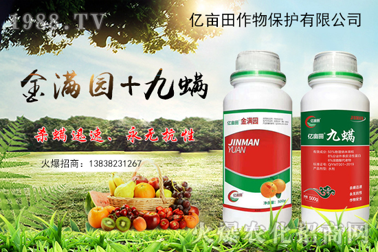 螨類害蟲難觸殺？金滿園+九螨，雙重生物作用，既殺滅害蟲又有肥效！