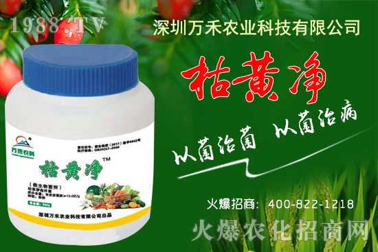 枯黃凈能防治哪些病害？枯黃凈適用作物及使用方法！