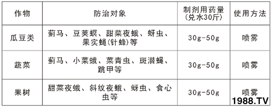 2.4%阿維·氯氰能打薊馬嗎？2.4%阿維·氯氰使用方法！
