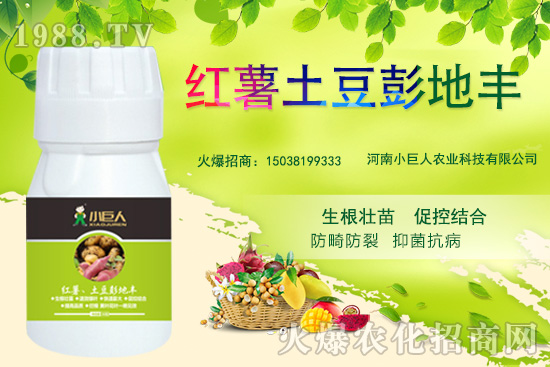 河南小巨人怎么樣？公司有什么優(yōu)勢(shì)？主推產(chǎn)品有哪些？