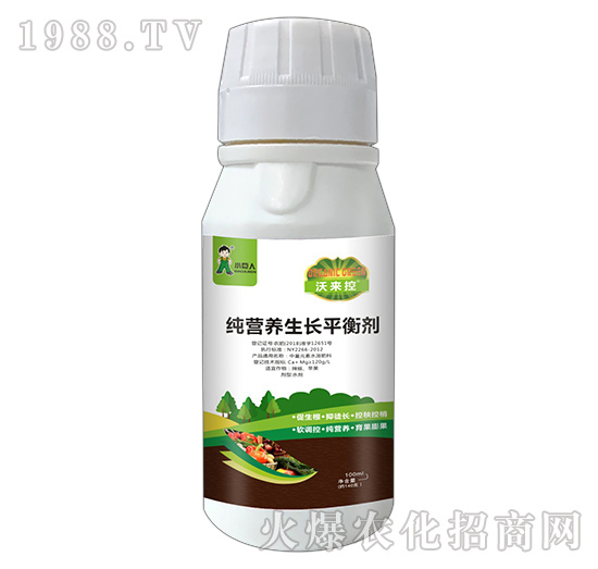 河南小巨人怎么樣？公司有什么優(yōu)勢(shì)？主推產(chǎn)品有哪些？