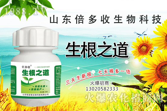 作物根系差，產(chǎn)量低？“生根之道”快生新根，抗病增產(chǎn)無憂！
