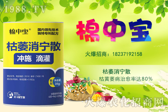 【品牌推薦】河南北斗星有什么優(yōu)勢(shì)？北斗星旗下產(chǎn)品有哪些？