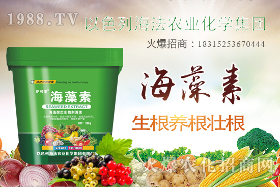 海法農(nóng)業(yè)為啥這么牛？海法農(nóng)業(yè)生產(chǎn)特色是什么？主打哪些產(chǎn)品？