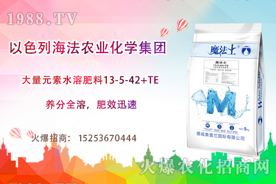 海法農(nóng)業(yè)為啥這么牛？海法農(nóng)業(yè)生產(chǎn)特色是什么？主打哪些產(chǎn)品？