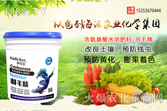 海法農(nóng)業(yè)為啥這么牛？海法農(nóng)業(yè)生產(chǎn)特色是什么？主打哪些產(chǎn)品？