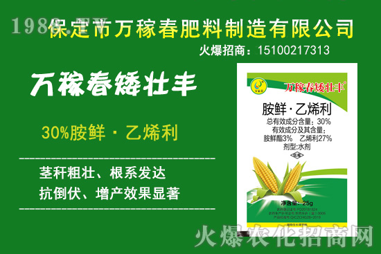 玉米倒伏產(chǎn)量低，玉米縮節(jié)、抗倒增產(chǎn)產(chǎn)品有哪些？