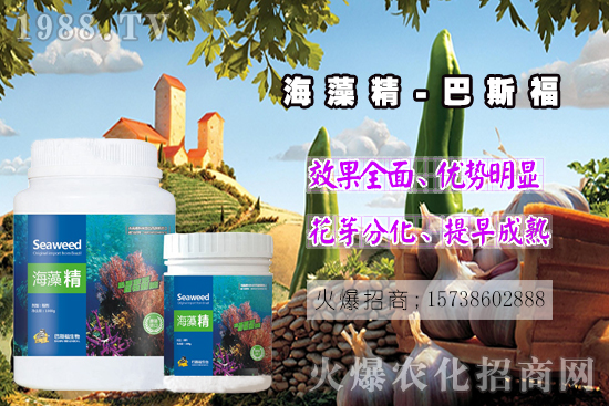  還不了解海藻精是啥？那你就真的out了！海藻精作用有多大？