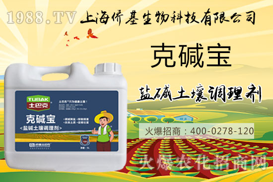 土壤鹽堿危害大，“克堿寶”消除鹽堿，還您一片沃土！