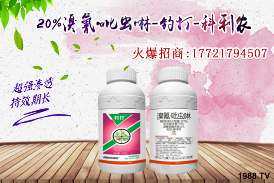 今年蚜蟲爆發(fā)太厲害！蚜蟲怎么打效果好？蚜蟲防治方法有哪些？