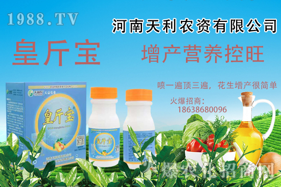  花生施肥常見問題有哪些？花生需肥規(guī)律及施肥方案講解！