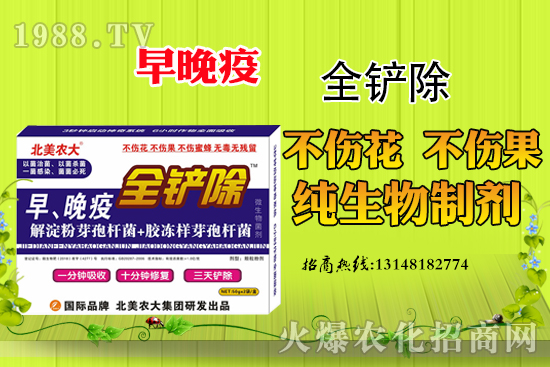 早晚疫危害嚴(yán)重，早晚疫防治措施有哪些？