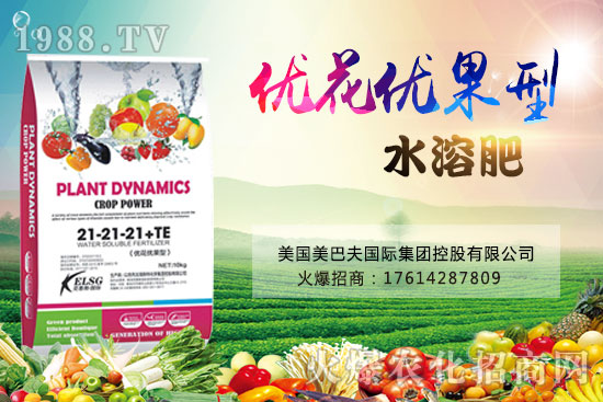 果實果小、不膨果？不妨試試“優(yōu)花優(yōu)果型水溶肥”，著色美果又增甜！