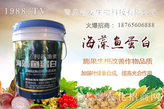 蔬菜定植如何緩苗快？蔬菜生根誤區(qū)有哪些？蔬菜生根壯苗肥推薦！