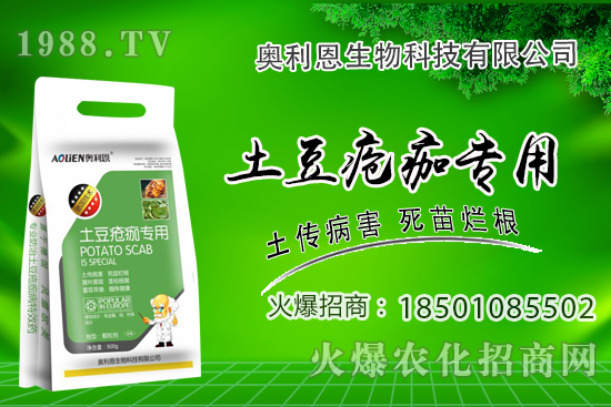 土豆瘡痂病什么癥狀?為什么難防治?土豆瘡痂病防治措施!