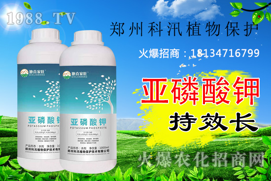 亞磷酸鉀功效及殺菌機(jī)理有哪些，亞磷酸鉀你用的合理嗎？