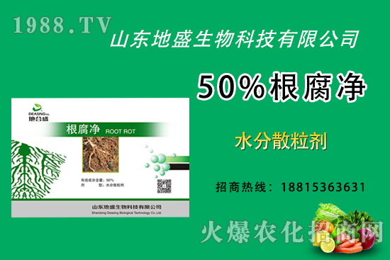 根腐病危害重，如何做好根腐病的防治？這樣做50%根腐凈！