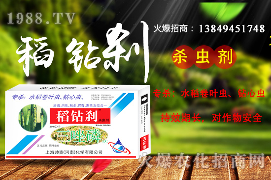 水稻鉆心蟲抗性嚴(yán)重，該如何防治？ “稻鉆剎”教您如何消滅！