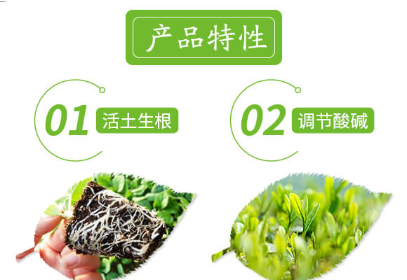 土壤修復劑-修田-愛農(nóng)斯達_04