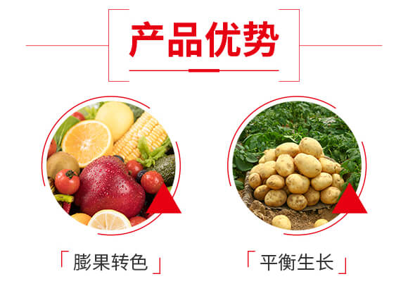 純營養(yǎng)多肽膨果轉(zhuǎn)色-色冠1號-凱瑞斯_04