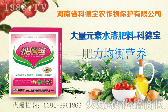 玉米空稈危害大，什么原因造成的？玉米空稈防控措施！