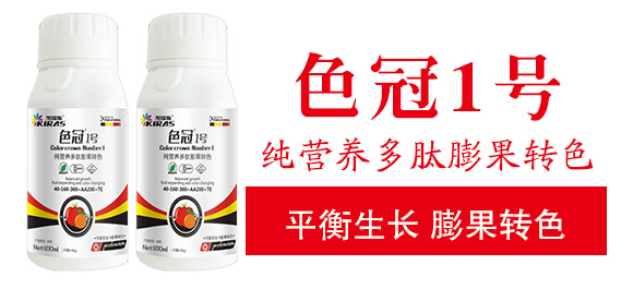 純營養(yǎng)多肽膨果轉(zhuǎn)色-色冠1號-凱瑞斯_03