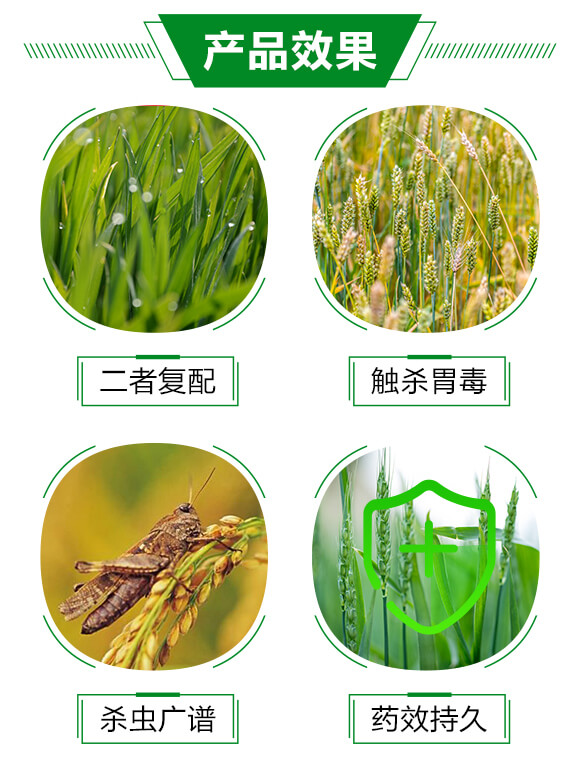 20%������-���A����_03