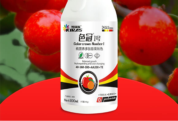 純營養(yǎng)多肽膨果轉(zhuǎn)色-色冠1號-凱瑞斯_02