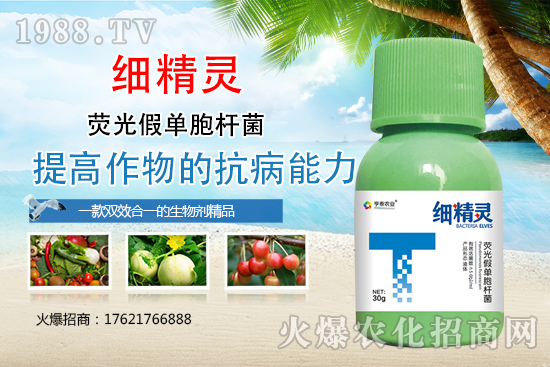 細菌性病害危害癥狀有哪些？細菌性病害防治藥劑推薦！