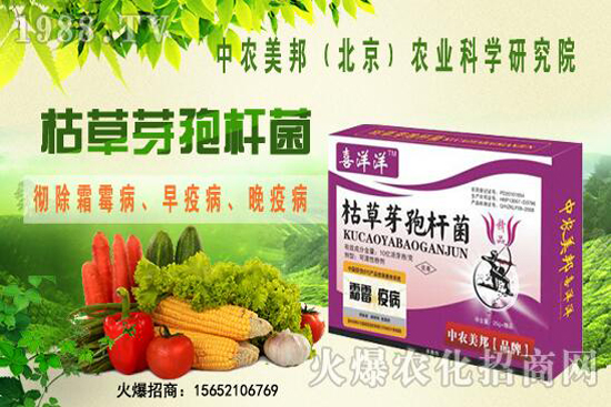 枯草芽孢桿菌治根腐病嗎，防治哪些土傳病害？防治對象有哪些？