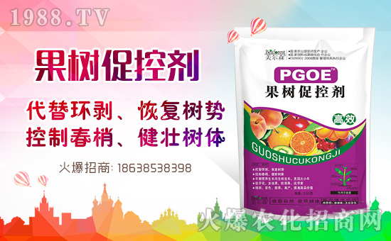 果樹巧用多效唑！效果翻倍沒問題！多效唑的作用與使用方法！