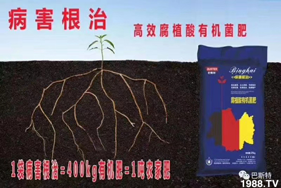 如何讓種植變得更輕松?一個(gè)套餐,全面配方,巴斯特大姜營養(yǎng)套餐方案!