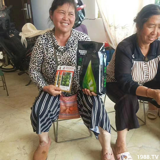 如何讓種植變得更輕松?一個(gè)套餐,全面配方,巴斯特大姜營養(yǎng)套餐方案!