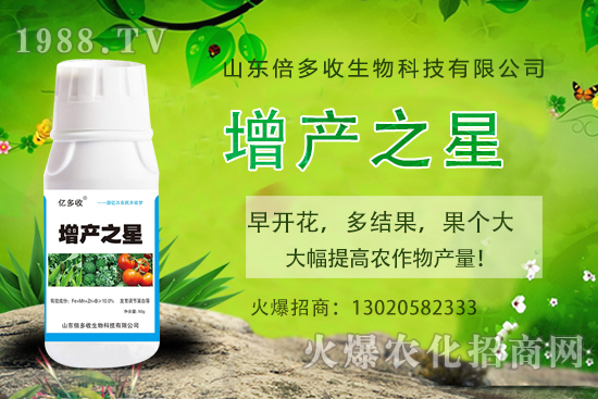 茄子需肥規(guī)律有哪些，茄子用什么肥料？茄子施肥注意事項！