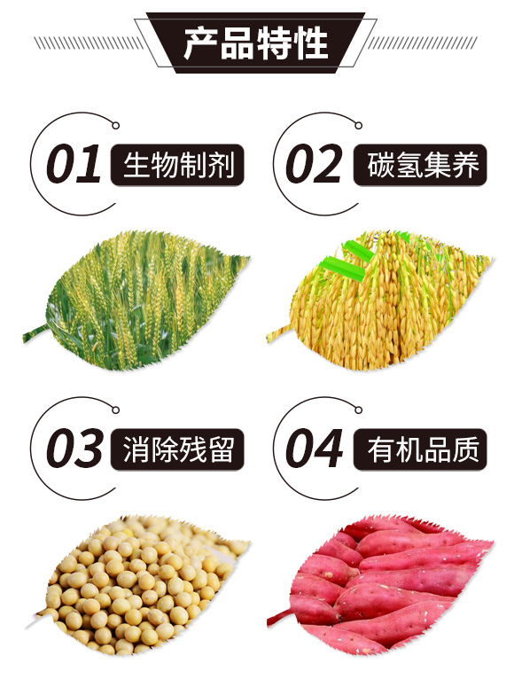 碳?xì)浜朔?金藻門-碳?xì)鋰H_02