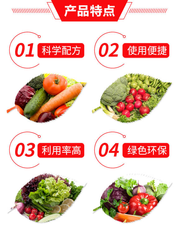 植物生命動力素-豐產(chǎn)寶-新興化工_03