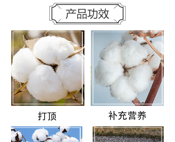 棉花頂部智控劑-悠閑哥-北斗星_04