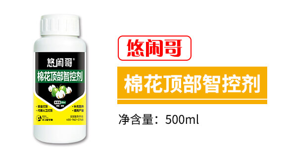 棉花頂部智控劑-悠閑哥-北斗星_03
