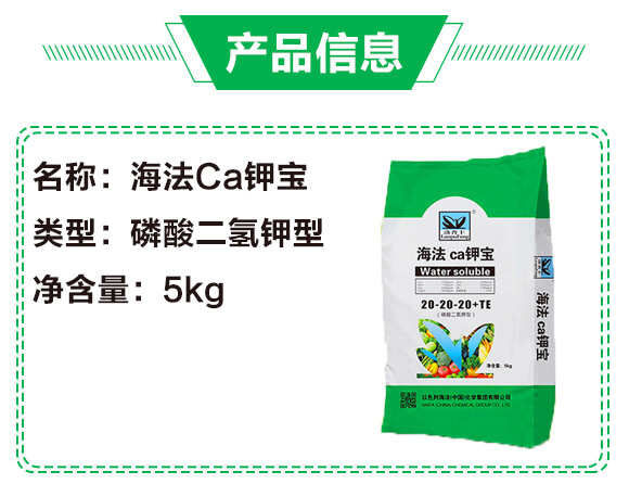 海法Ca鉀寶20-20-20+TE（5kg）-海法_03