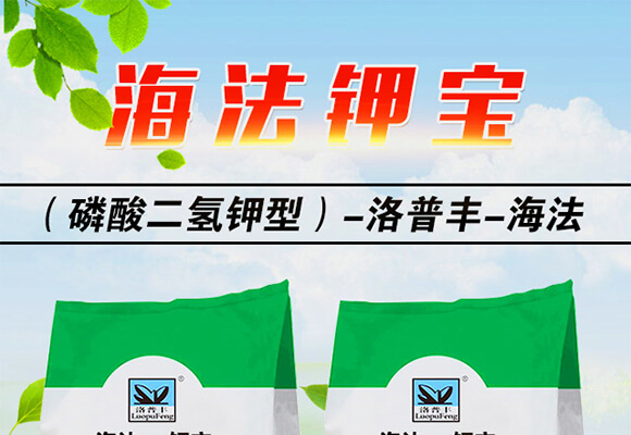 海法Ca鉀寶20-20-20+TE（5kg）-海法_01