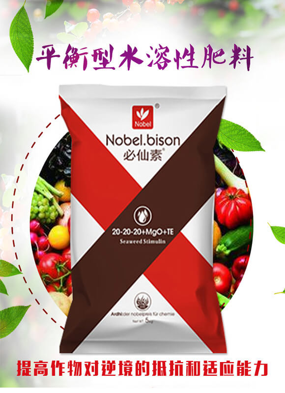 平衡型水溶性肥料20-20-20+Mgo+TE（5Kg）-諾貝爾_01