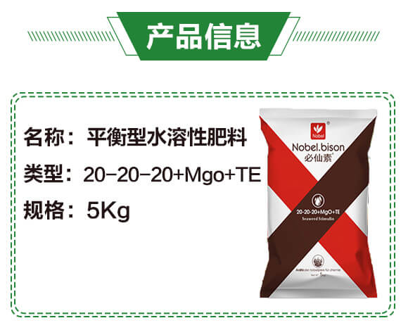 平衡型水溶性肥料20-20-20+Mgo+TE（5Kg）-諾貝爾_02