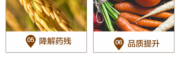 微生物菌劑（500ml）-百億擴繁-華濱生物_06