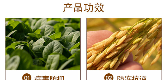 微生物菌劑（500ml）-百億擴繁-華濱生物_04